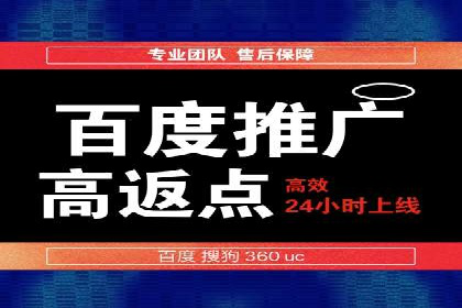 百度竞价包年推广策略——某行业巨头的成功经验